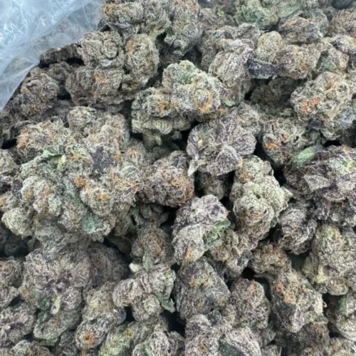 Rainbow delight (exotics)