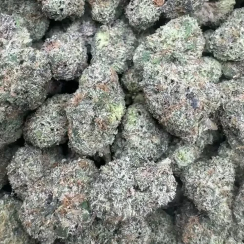 Blueberry glaze zonuts