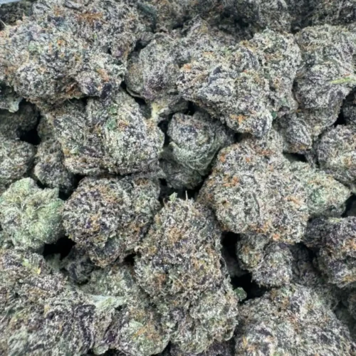 platinum cherriez (exotic)