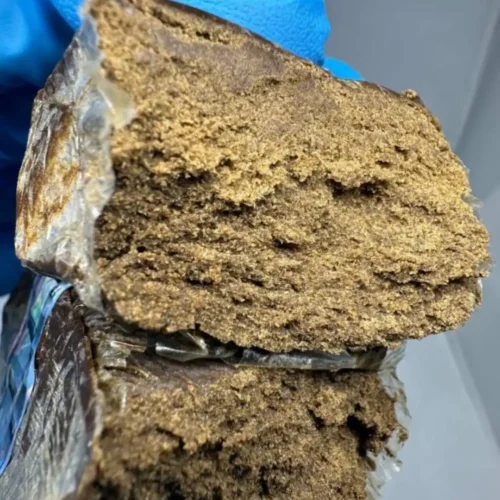 bulldog amsterdam hash